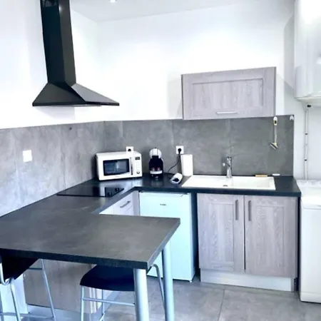 Apartment Parc Giron Saint-Etienne (Loire)