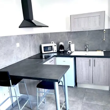 Apartment Parc Giron Saint-Etienne (Loire)